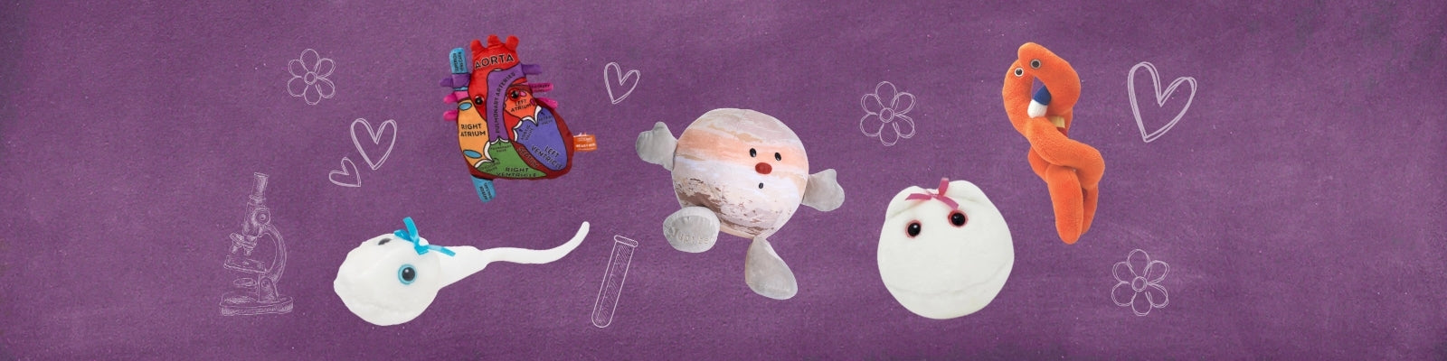 Hearts & Heavens: The Best Anatomical and Celestial Valentine’s Day Gifts