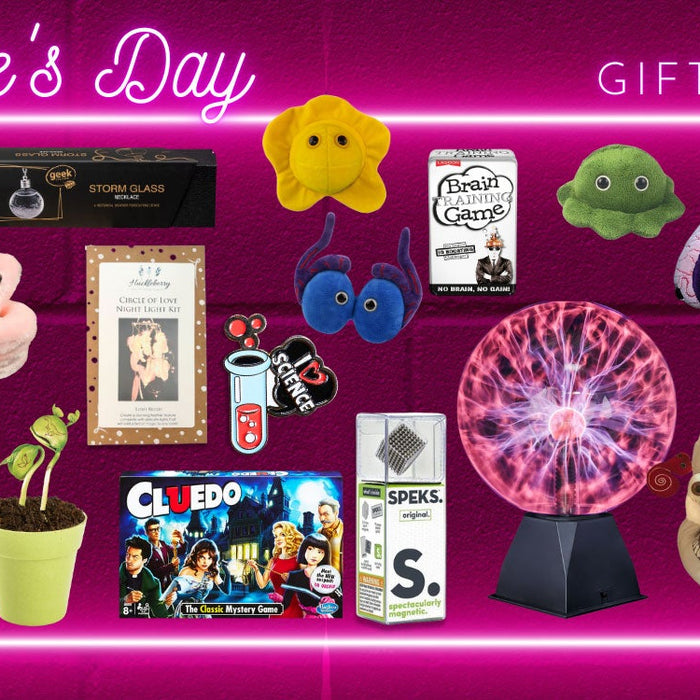 Why Toys Are the Perfect Valentine’s Day Gift Idea