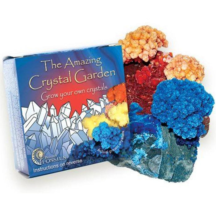 Grow Your Own Amazing Crystal Garden