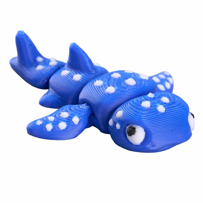 Fidgi Sea