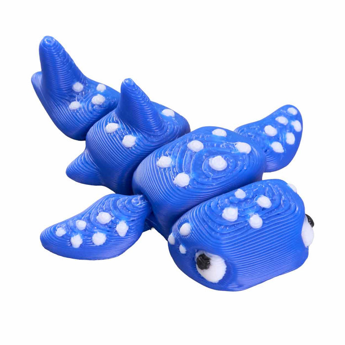 Fidgi Sea