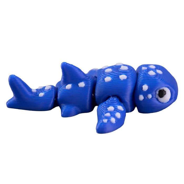 Fidgi Sea