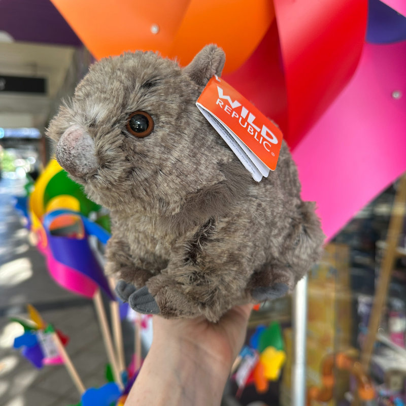 Artist Mini Wombat Plush
