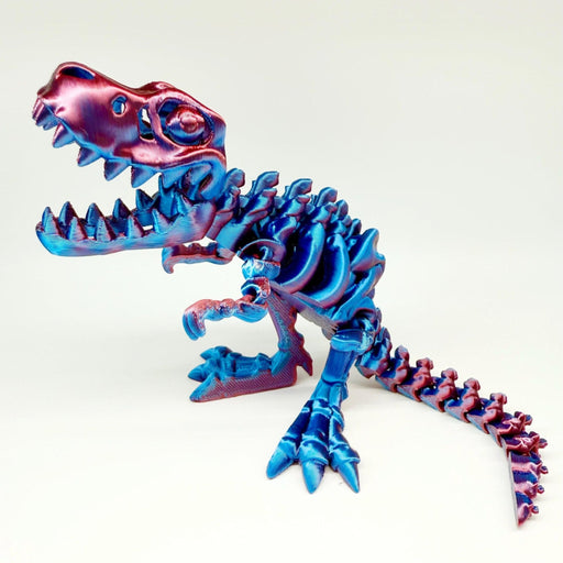 Colorful dinosaur skeleton model on a white background