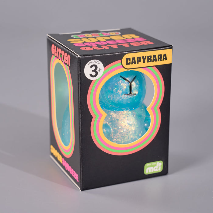A retail box for the Capybara Glitter Squeaker toy, featuring a black box with colorful retro concentric border graphics, a clear window showing the blue glittery toy inside, and text including 'CAPYBARA' and 'glitter squeaker'.