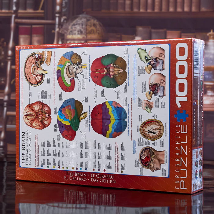 Puzzle The Brain 1000pc