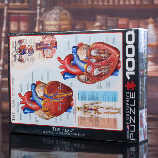 Jigsaw puzzle box featuring an anatomical illustration of the heart on a wooden surface.