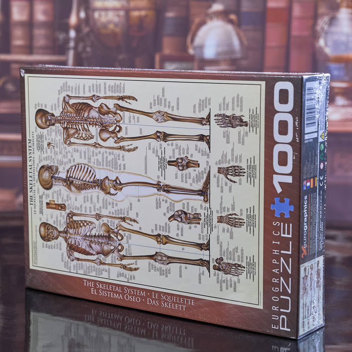 Eurographics puzzle box with skeleton design on a reflective surface