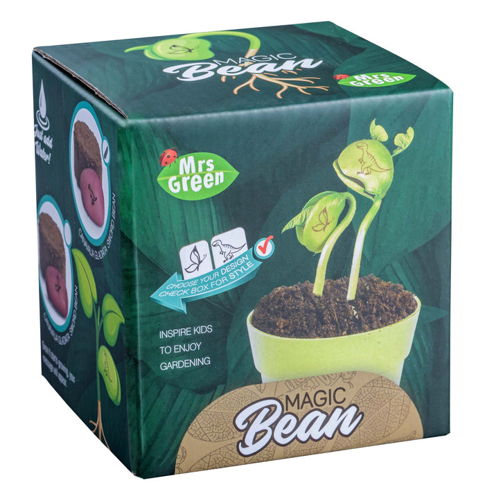 Mrs Greens Magic Beans