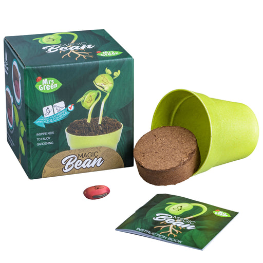 Mrs green magic bean