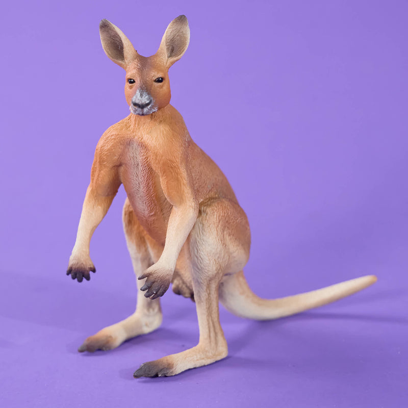 Red Kandaroo - Male Collecta