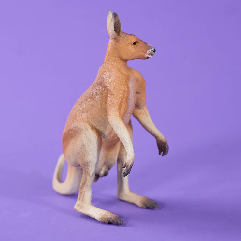 Red Kandaroo - Male Collecta