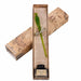Calligraphy set with green feather pen and ink bottle in a decorative box, featuring Dell'Arte branding.