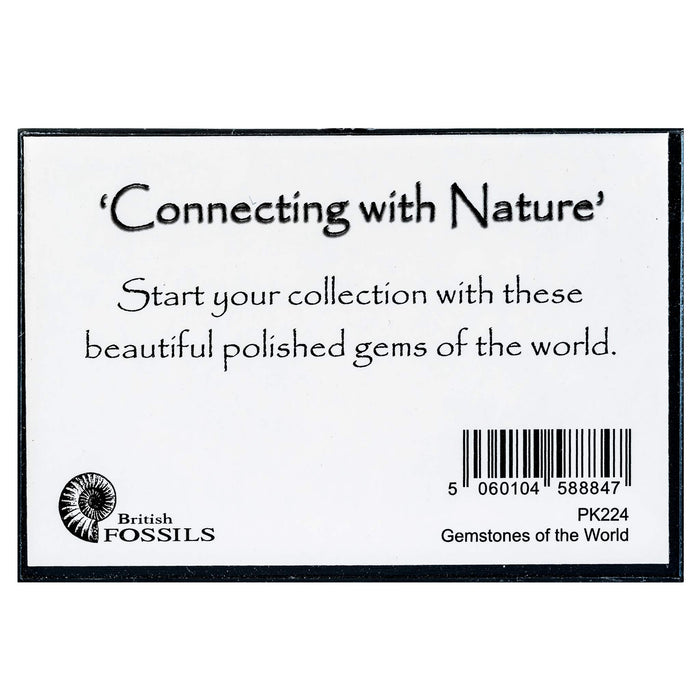 A white rectangular product card with a black border, featuring the text 'Connecting with Nature' and 'Start your collection with these beautiful polished gems of the world.' The British Fossils logo appears in the lower left, with a barcode and product code in the lower right.
