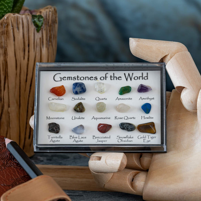 A clear plastic display case labeled 'Gemstones of the World' holding 15 labeled tumbled gemstones arranged in three rows, held by a wooden mannequin hand against a blurred rustic background.
