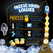 Freeze Dried Pineapple information