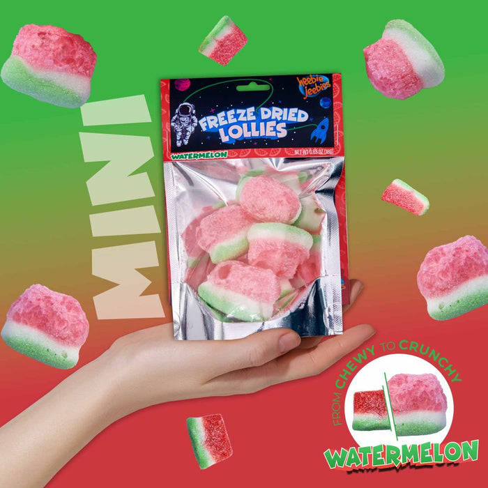 Freeze Dried Watermelon Mini Pack promotional