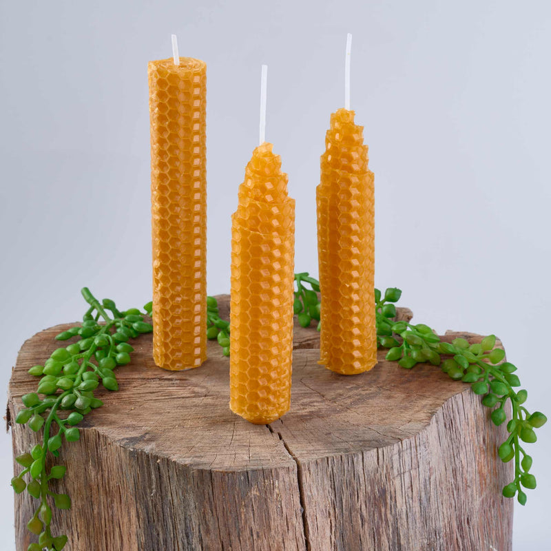 Make Your Own Beeswax Candles