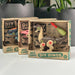 Toy Brachiosaurus dinosaur set in a 'DIY Dinos' box with plant in the background