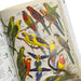 Open book with colorful illustrations of parrots on a white background