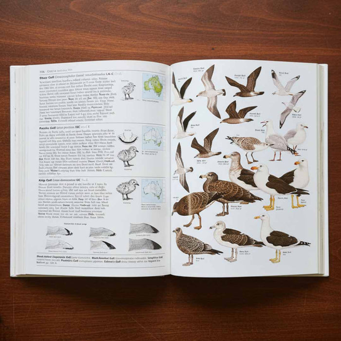 Open book on a wooden surface with illustrations of birds and text.