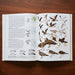 Open book on a wooden surface with illustrations of birds and text.