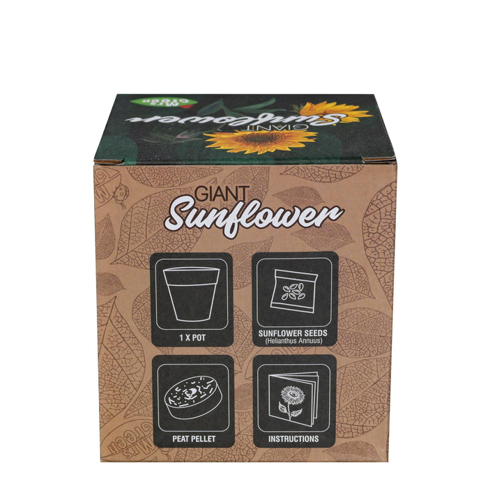 A square cardboard box of Giant Sunflower seeds by Seeds of Change, featuring a brown leaf-patterned design with black icons indicating pot size, seeds, peat pellet, and instructions.