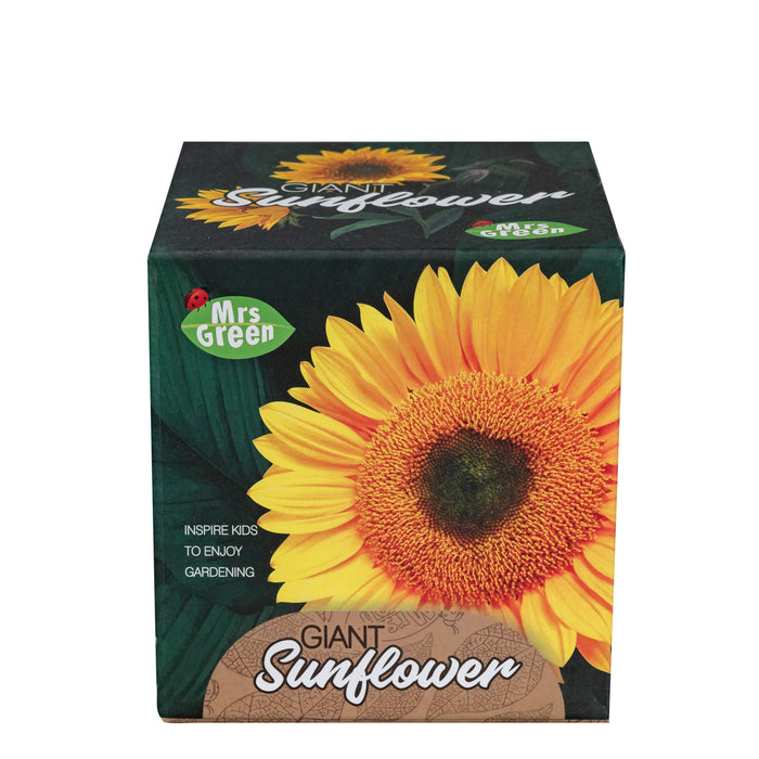 A box of Mrs. Green Giant Sunflower seeds, featuring a large yellow and orange sunflower on a dark green background with the brand logo and product name clearly visible.