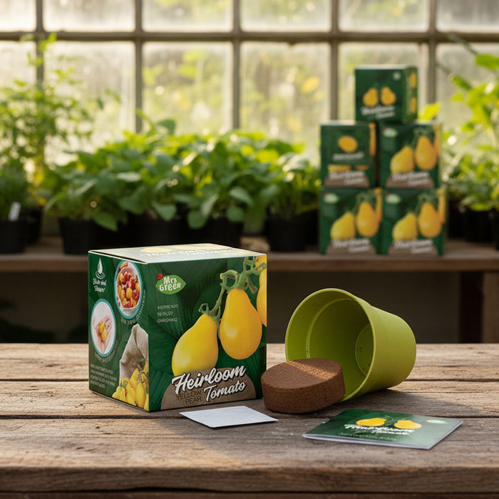 A gardening kit set on a rustic wooden table, featuring a green 'Heirloom Tomato' seed box, a light green plastic pot, a brown growing stone, and a small card. The background shows a greenhouse setting with potted plants and more boxes of the same product.