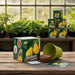 A gardening kit set on a rustic wooden table, featuring a green 'Heirloom Tomato' seed box, a light green plastic pot, a brown growing stone, and a small card. The background shows a greenhouse setting with potted plants and more boxes of the same product.