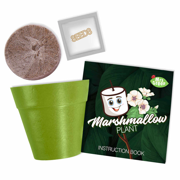 Marshmallow Plant