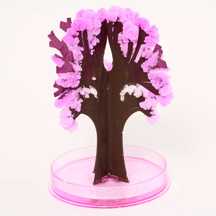 Magic Grow Sakura Tree