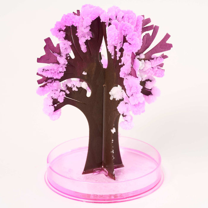 Magic Grow Sakura Tree