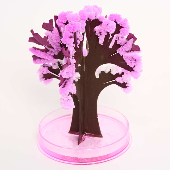 Magic Grow Sakura Tree