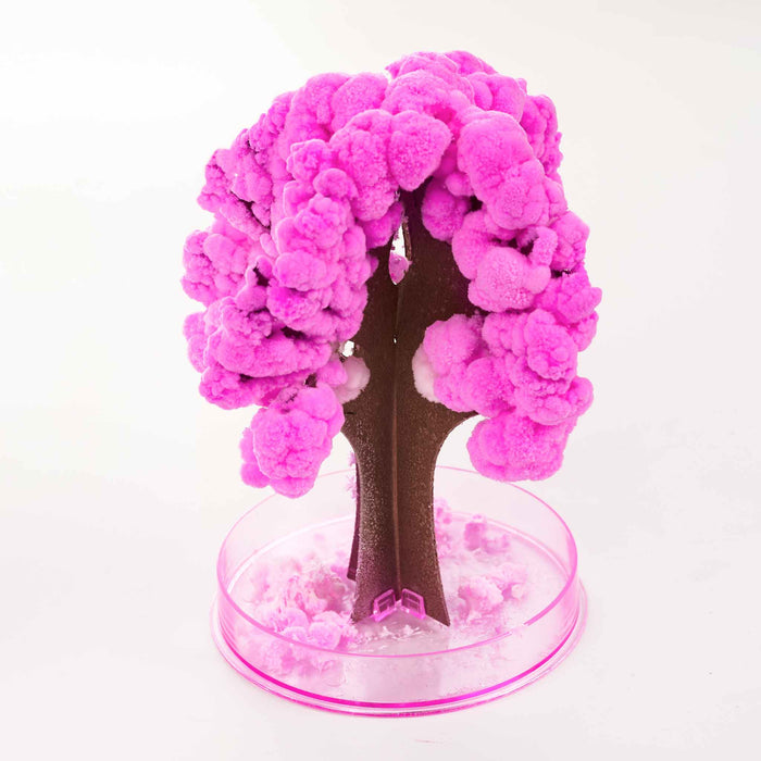 Magic Grow Sakura Tree