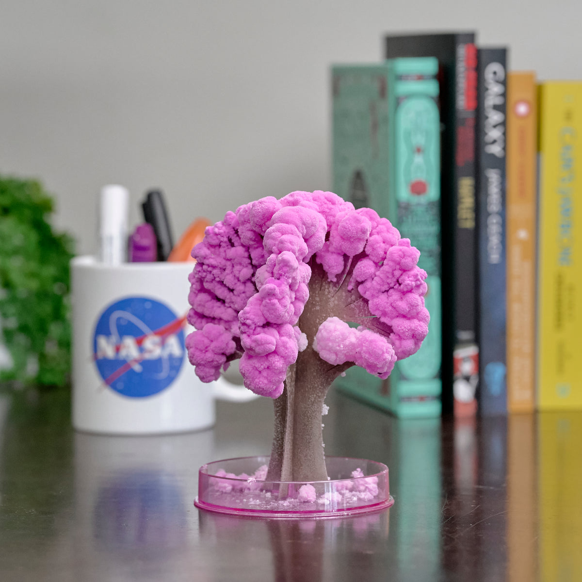 Magic Grow Sakura Tree — Professor Plums