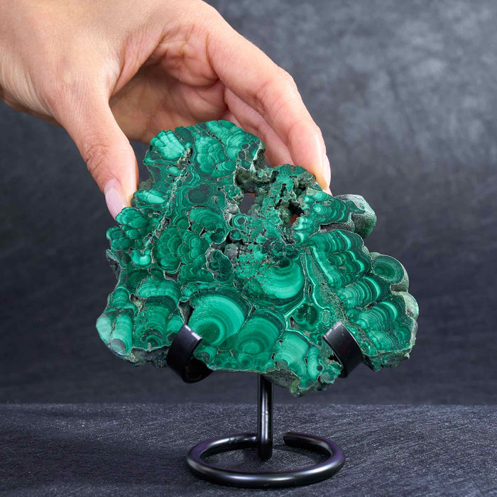 Malachite Slice 8-10cm  stand