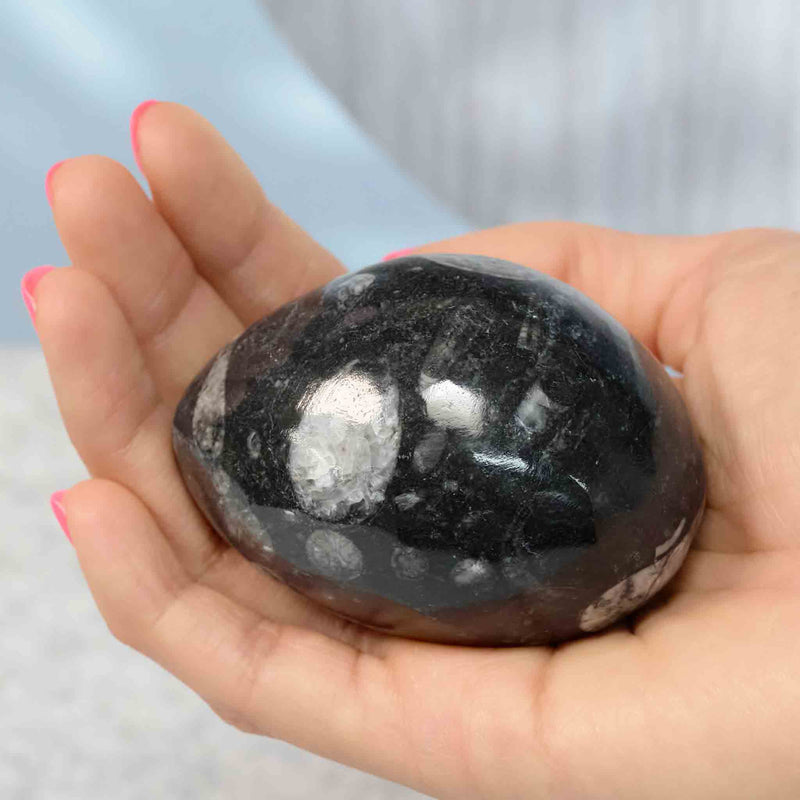 British Fossils - Gemstones