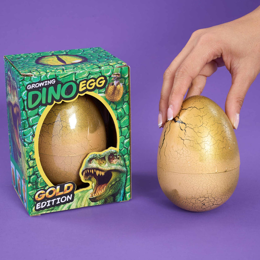 Large Dinosaur In An Egg - Hatch Your Own Dino