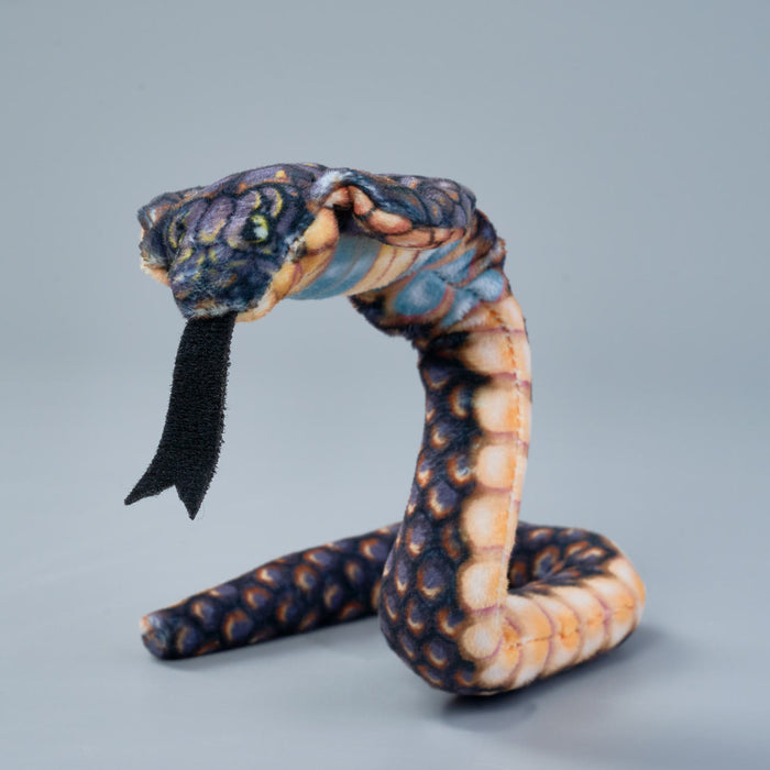 Coilkins Hooded Cobra snake