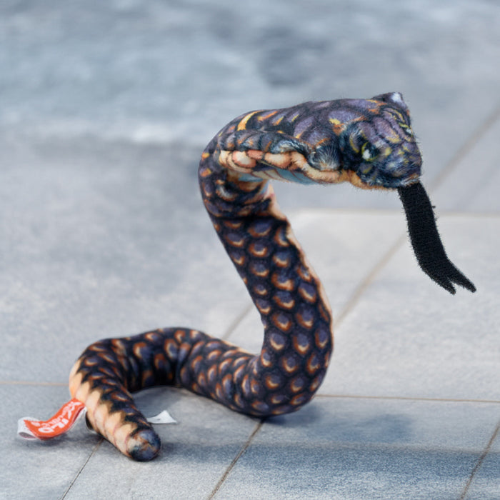 Coilkins Hooded Cobra snake