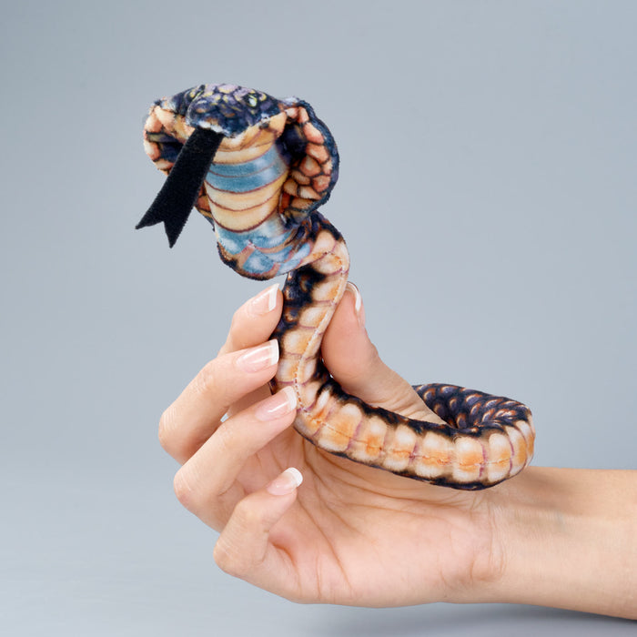 Coilkins Hooded Cobra snake