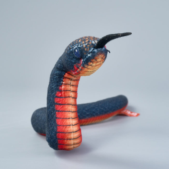 Coilkins Red Bellied Black Snake