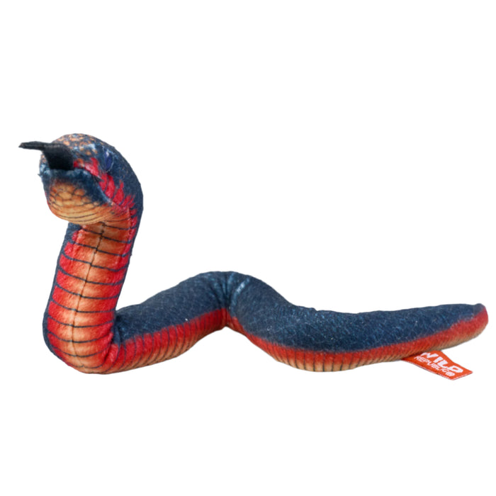 Coilkins Red Bellied Black Snake