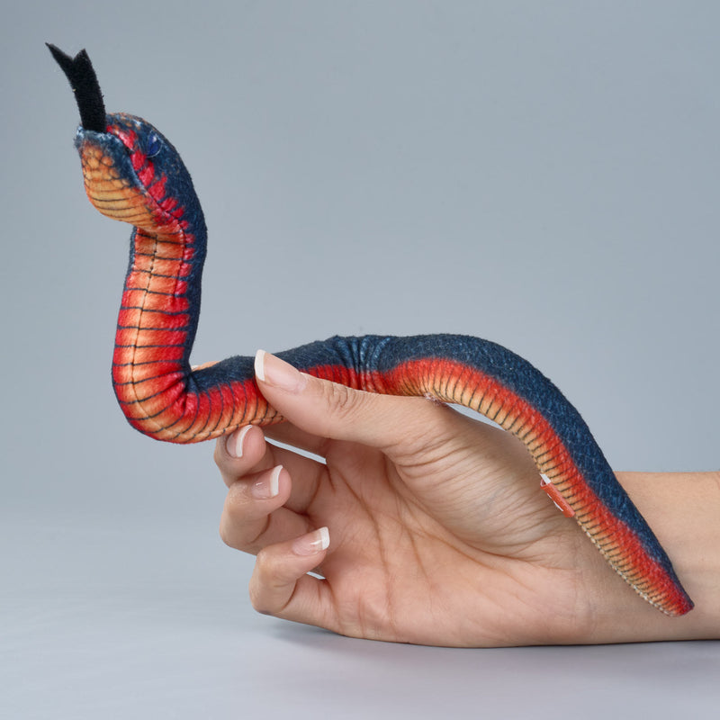 Coilkins Red Bellied Black Snake