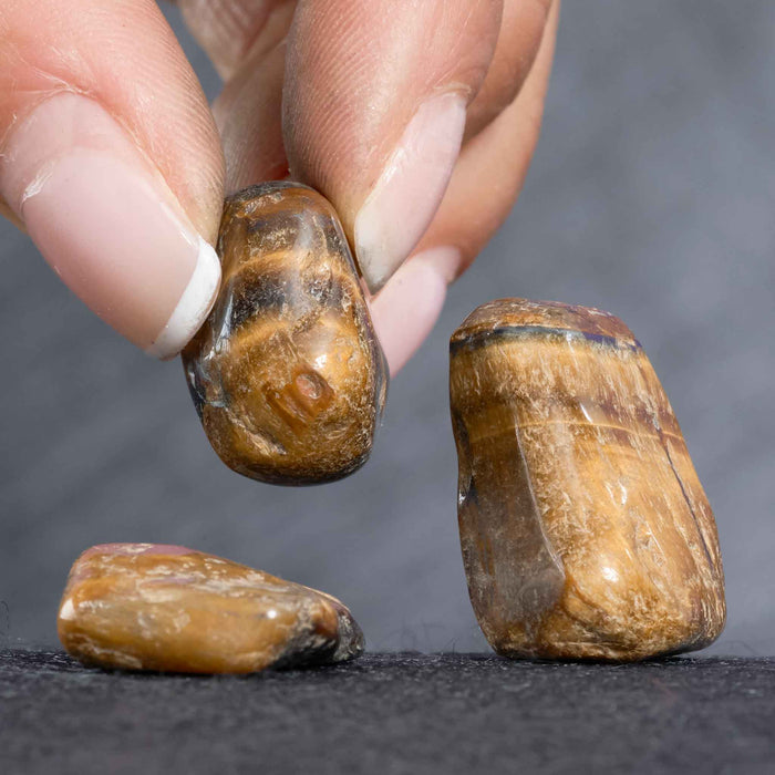 Tiger's Eye Tumbled Gemstones