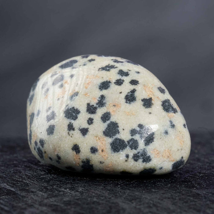 Dalmatian Jasper Tumbled Gemstone