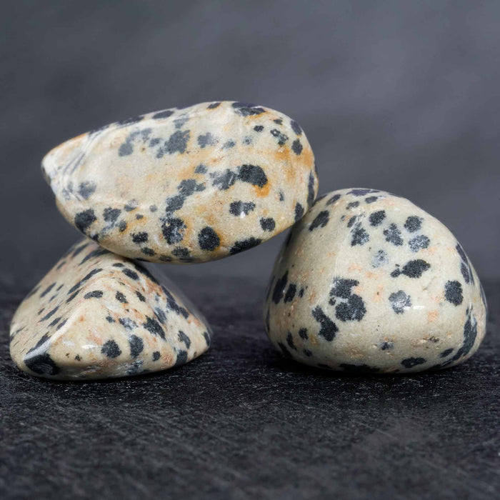 Dalmatian Jasper Tumbled Gemstone