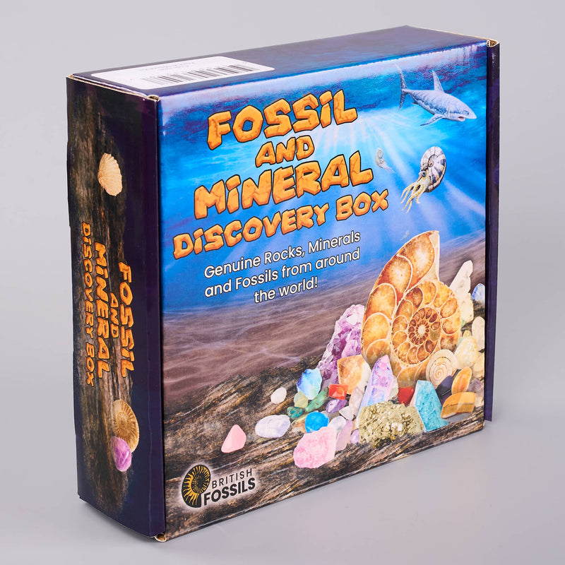 Fossil and mineral discovery box packaging with images of fossils and minerals on a gray background