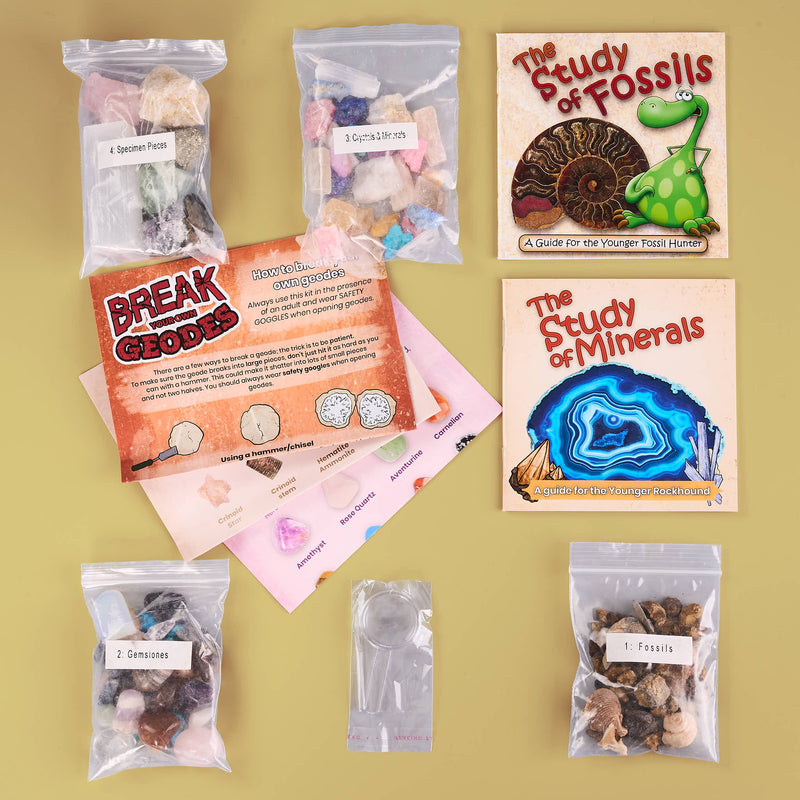 Educational geology kit with geodes, books on fossils and minerals, and educational materials on a yellow background.